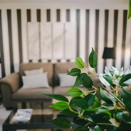 Vista Paraiso - Doctor Trujillo Santa Cruz de Tenerife