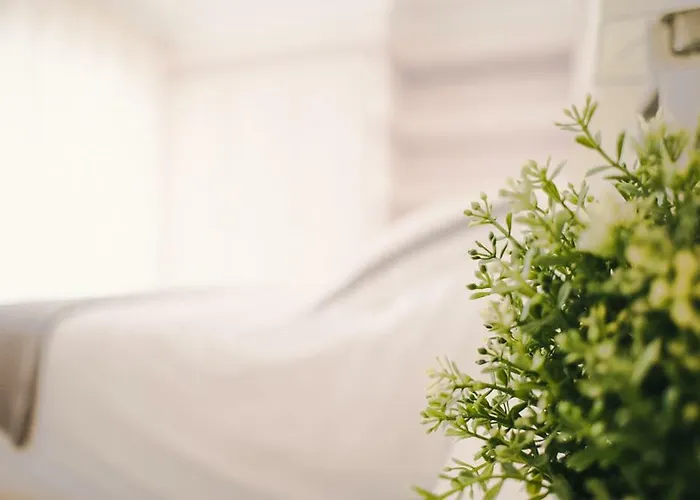 Apartmán Vista Paraiso - Doctor Trujillo Santa Cruz de Tenerife