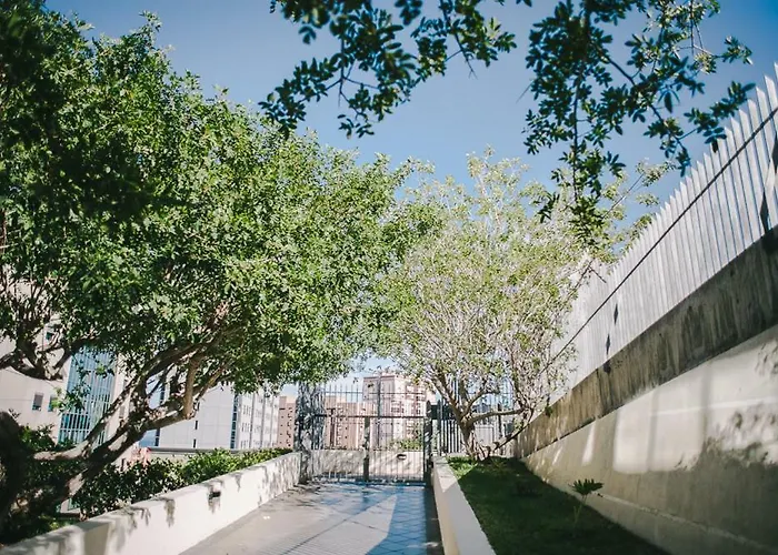 Apartment Vista Paraiso - Doctor Trujillo Santa Cruz de Tenerife